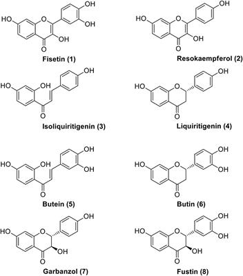 New Perspectives for Fisetin